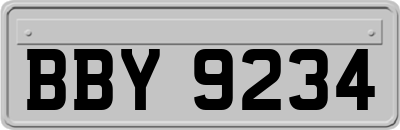 BBY9234