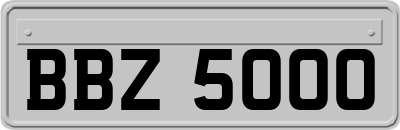 BBZ5000