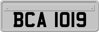 BCA1019