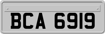 BCA6919