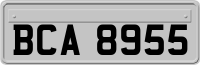 BCA8955