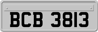 BCB3813