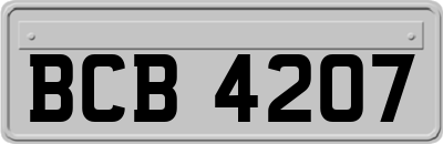 BCB4207
