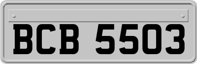 BCB5503