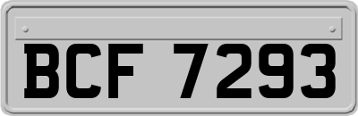 BCF7293