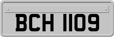 BCH1109