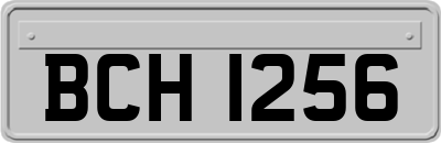 BCH1256