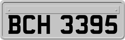 BCH3395