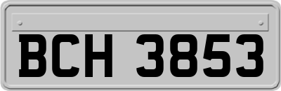 BCH3853
