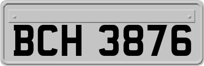 BCH3876