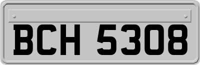 BCH5308