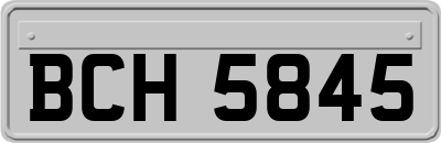 BCH5845