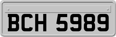 BCH5989