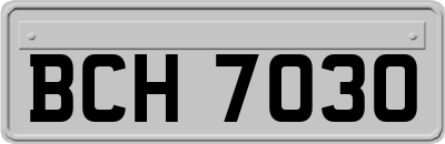 BCH7030