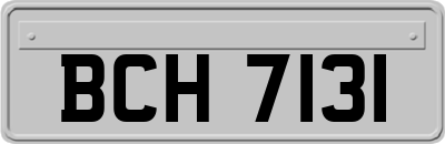 BCH7131