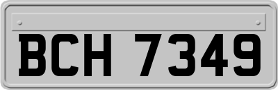 BCH7349