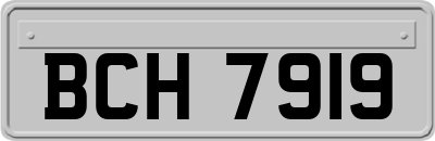 BCH7919