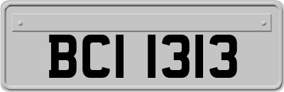 BCI1313
