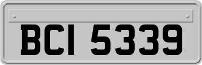 BCI5339