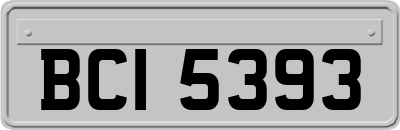 BCI5393