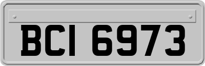 BCI6973
