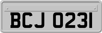 BCJ0231