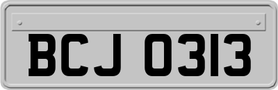 BCJ0313