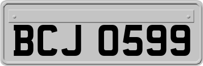 BCJ0599