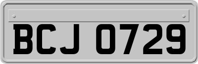 BCJ0729