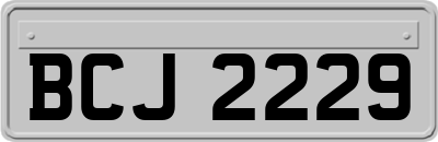 BCJ2229