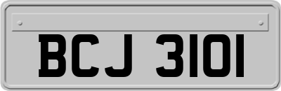 BCJ3101