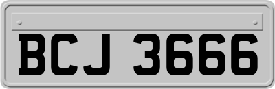 BCJ3666