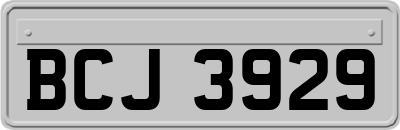 BCJ3929