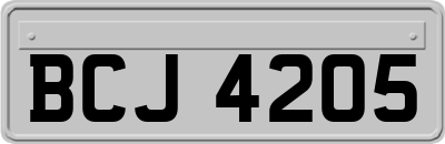BCJ4205
