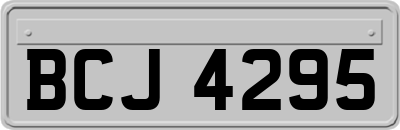 BCJ4295