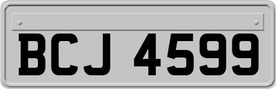 BCJ4599