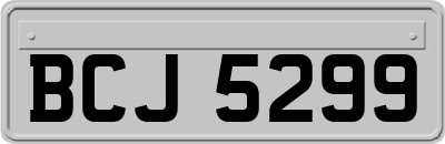 BCJ5299