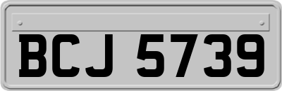 BCJ5739