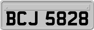 BCJ5828