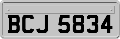 BCJ5834