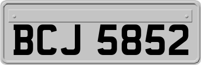 BCJ5852