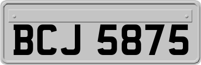 BCJ5875