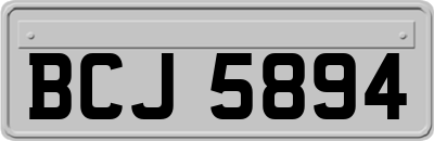 BCJ5894