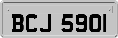 BCJ5901
