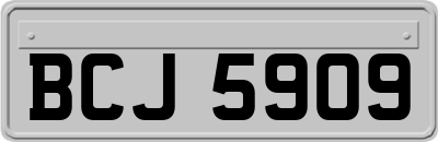BCJ5909