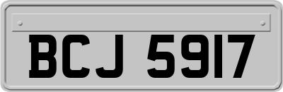 BCJ5917