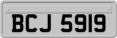 BCJ5919