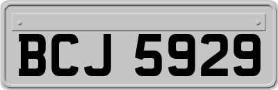 BCJ5929