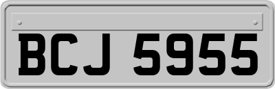 BCJ5955
