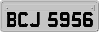 BCJ5956